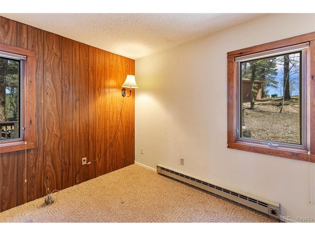 351 Porphry Rd, Florissant, CO 80814