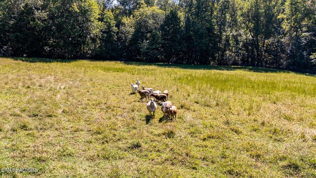 1112 Highway 305, Athens, TN 37303