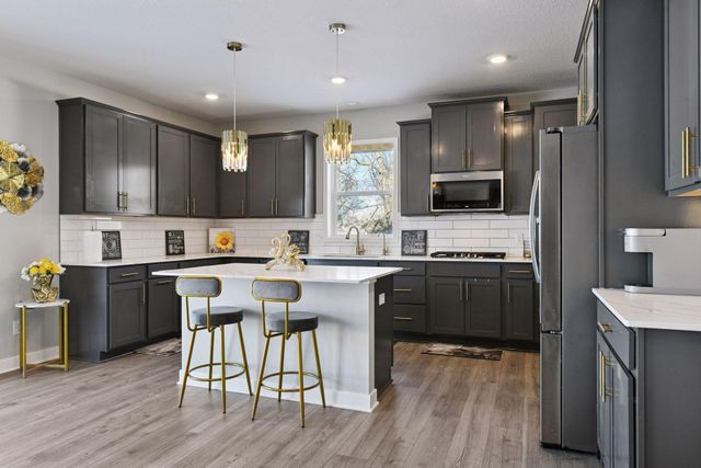 1663 Oak Creek Drive, Chaska, MN 55318