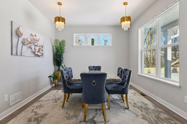 1663 Oak Creek Drive, Chaska, MN 55318