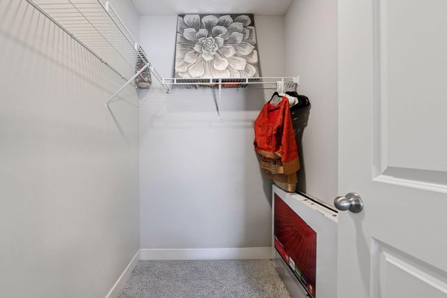 1663 Oak Creek Drive, Chaska, MN 55318