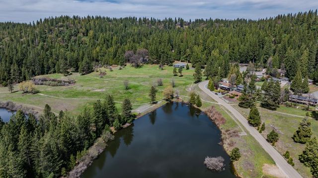 26158 Parkwood Drive East, Pioneer, CA 95666