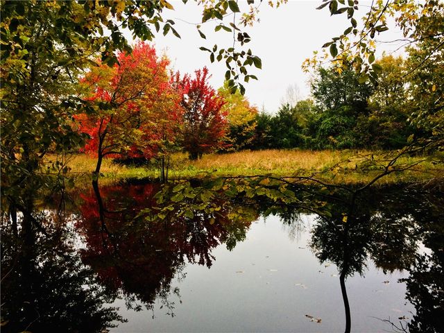 31678 295 Highway, Hindsville, AR 72738