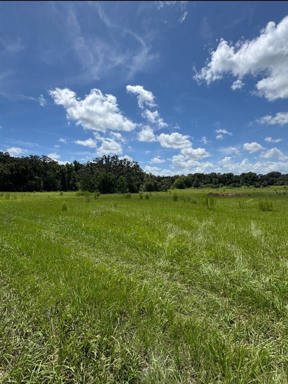 8496 NW 43RD COURT, Ocala, FL 34482