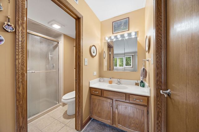 11012 S Theresa Circle 1C, Palos Hills, IL 60465
