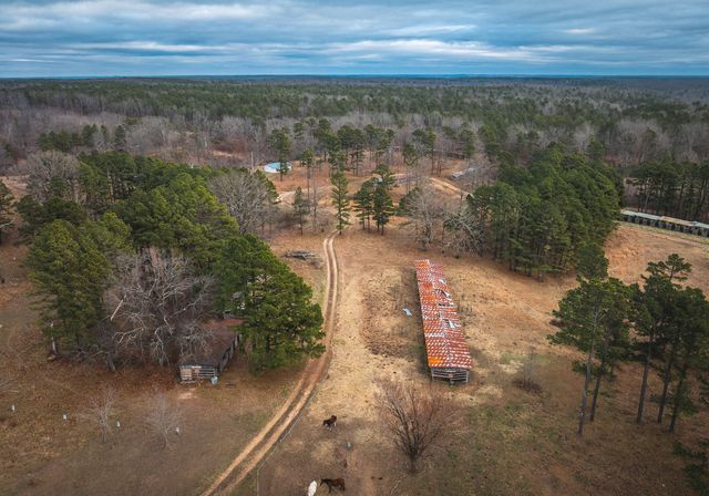 19546 Golden Drive, Raymondville, MO 65555