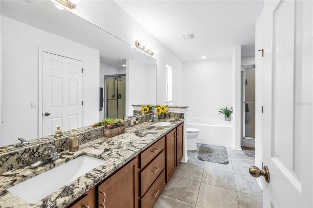 9630 NATHANIEL LANE, Land O Lakes, FL 34638