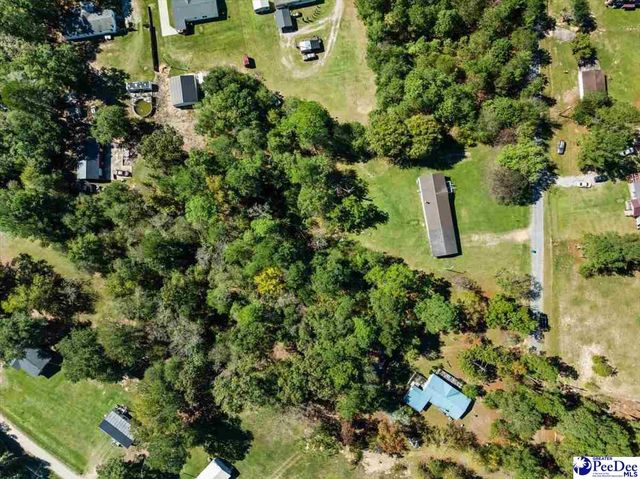 3016 Ridgecrest Rd, Wallace, SC 29596