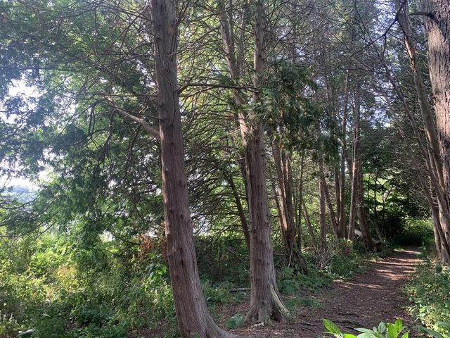 Lt19 Arbor Ridge DRIVE, Delavan, WI 53115