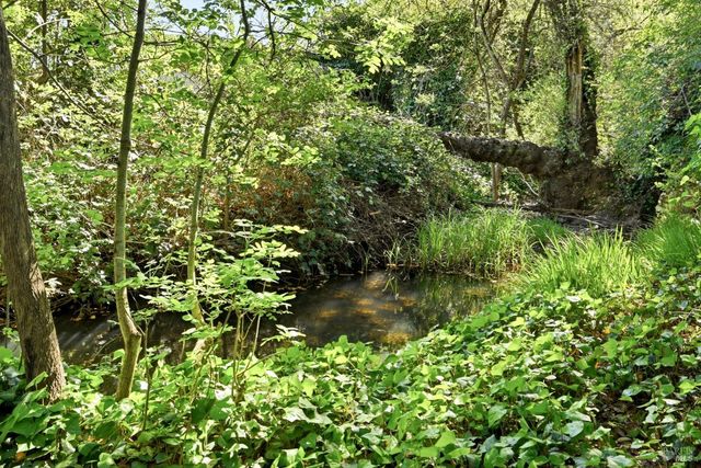 2875 Lomitas Ave, Santa Rosa, CA 95404