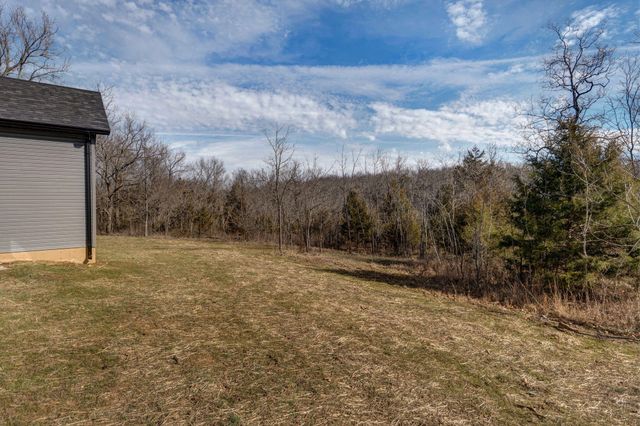 208 Danalia Drive, Marshfield, MO 65706