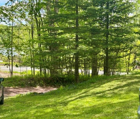 5 Lake Muskoday Road, Roscoe, NY 12776