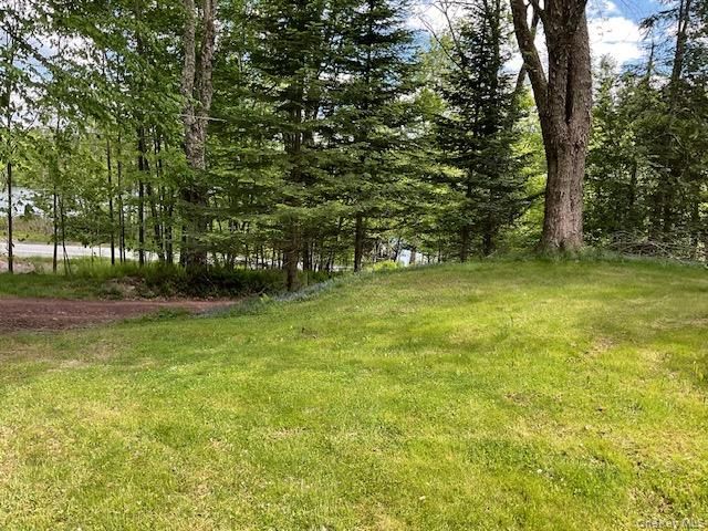 5 Lake Muskoday Road, Roscoe, NY 12776