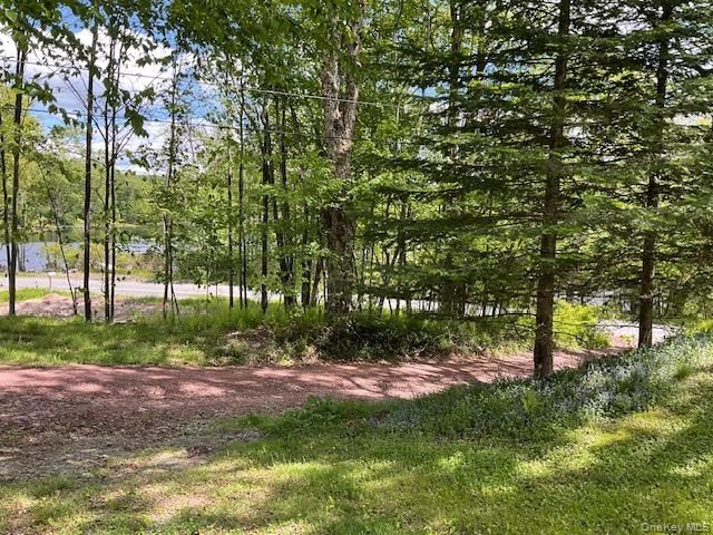 5 Lake Muskoday Road, Roscoe, NY 12776