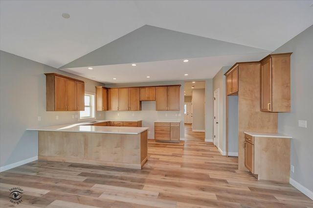 1195 S. Farmstone Drive, Diamond, IL 60416