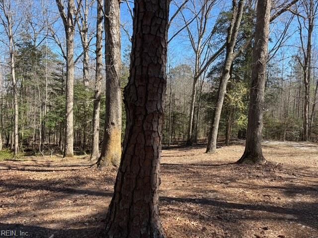 16426 Southampton PW, Capron, VA 23829