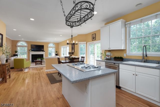 2 Aronimink Ct, Montgomery Twp., NJ 08558