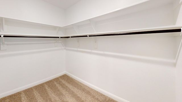 2503 Blue Oasis Court, Forney, TX 75126