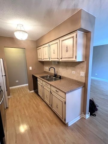 1029 Buccaneer Drive 6, Schaumburg, IL 60173