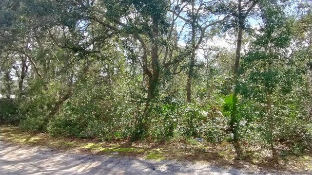 28515 POINSETTIA AVENUE, Paisley, FL 32767