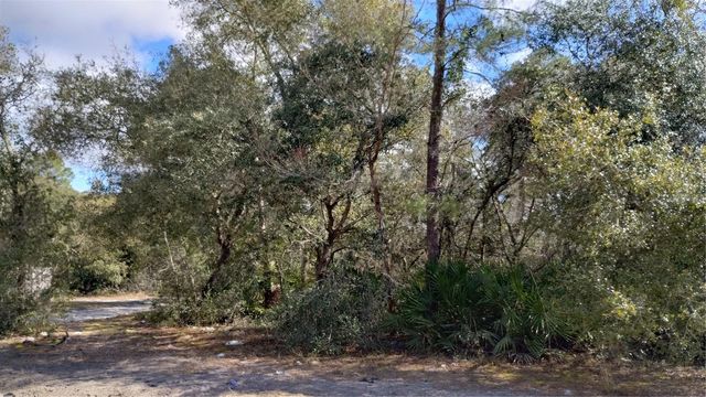 28515 POINSETTIA AVENUE, Paisley, FL 32767