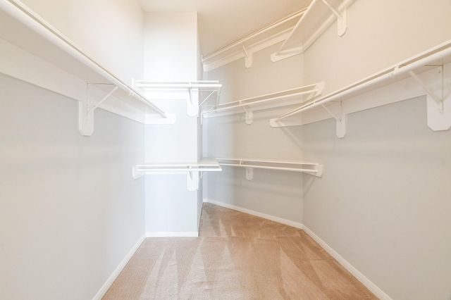 12314 Shadowpoint Drive, Houston, TX 77082