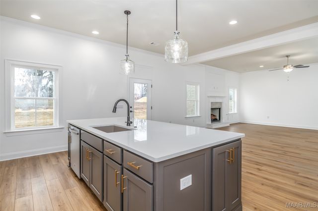 980 Cavalier Drive, Pike Road, AL 36064