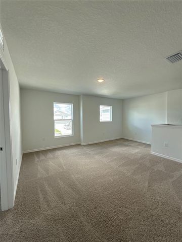 13119 SASSAFRAS TRAIL, Parrish, FL 34219