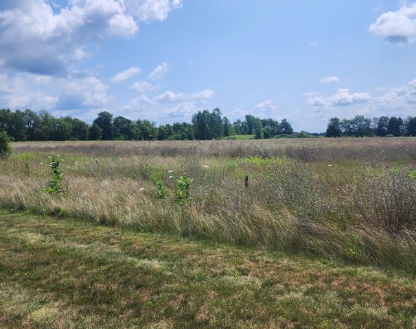 3615 S State Road, Orange Twp, MI 48846