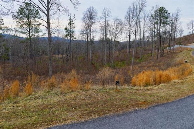 LT 142 Twisted Oak Road, Talking Rock, GA 30175