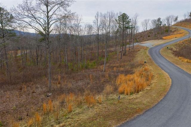 LT 142 Twisted Oak Road, Talking Rock, GA 30175