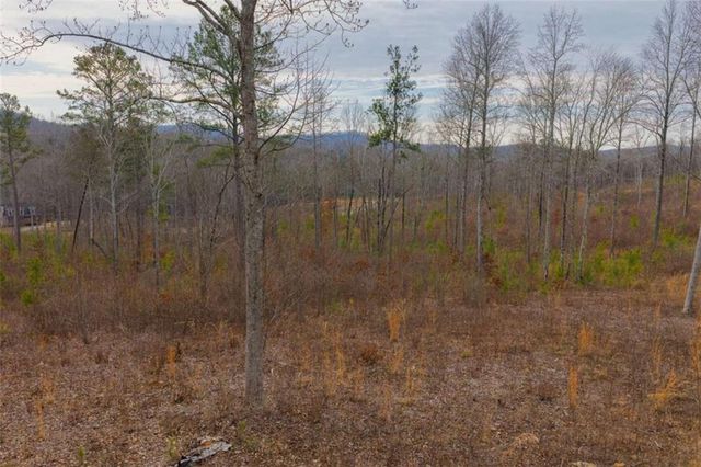 LT 142 Twisted Oak Road, Talking Rock, GA 30175