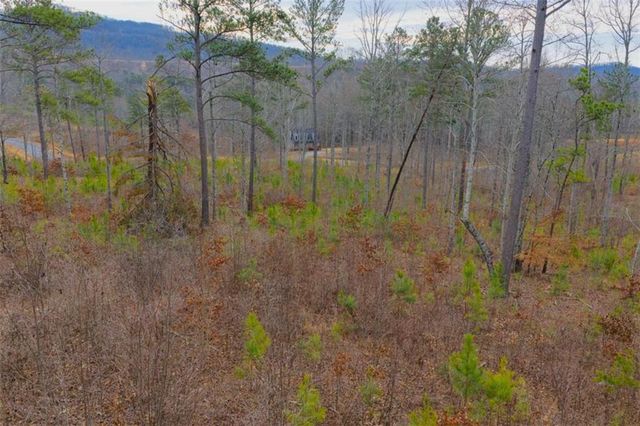 LT 142 Twisted Oak Road, Talking Rock, GA 30175