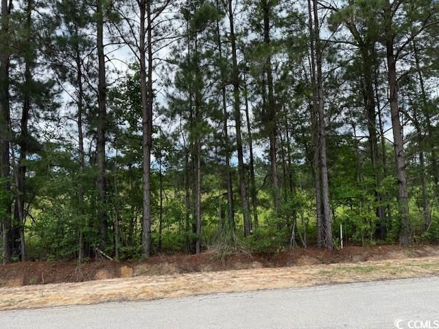 4.30 Acres Rabon Rd., Aynor, SC 29511