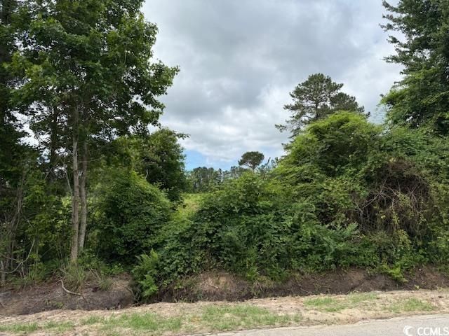 4.30 Acres Rabon Rd., Aynor, SC 29511