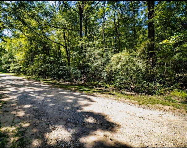TBD Lazy Oak Drive Drive, Livingston, TX 77351