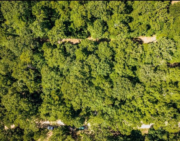 TBD Lazy Oak Drive Drive, Livingston, TX 77351