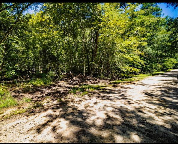 TBD Lazy Oak Drive Drive, Livingston, TX 77351