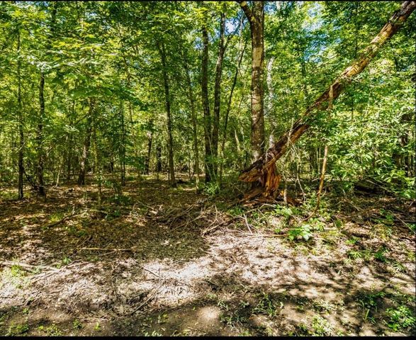 TBD Lazy Oak Drive Drive, Livingston, TX 77351