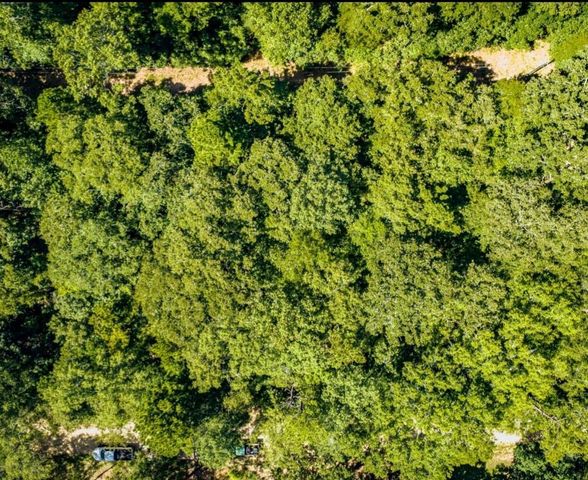 TBD Lazy Oak Drive Drive, Livingston, TX 77351
