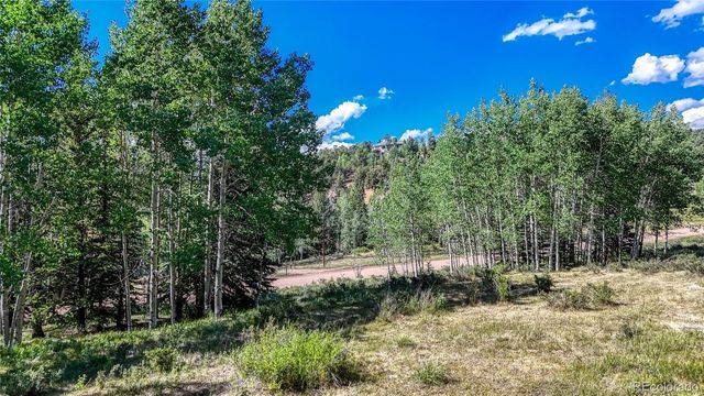 1444 Anges Drive, Cripple Creek, CO 80813