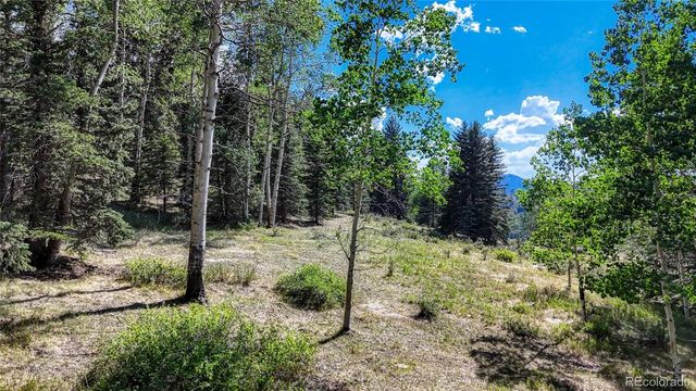 1444 Anges Drive, Cripple Creek, CO 80813