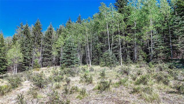 1444 Anges Drive, Cripple Creek, CO 80813