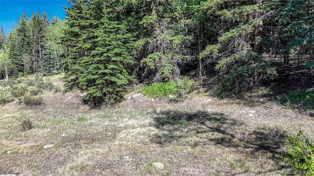 1444 Anges Drive, Cripple Creek, CO 80813