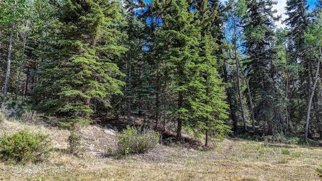 1444 Anges Drive, Cripple Creek, CO 80813