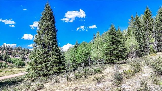 1444 Anges Drive, Cripple Creek, CO 80813