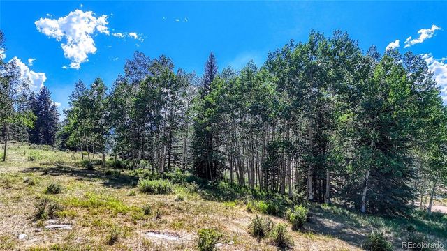 1444 Anges Drive, Cripple Creek, CO 80813