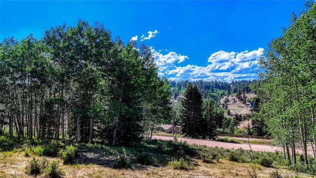 1444 Anges Drive, Cripple Creek, CO 80813