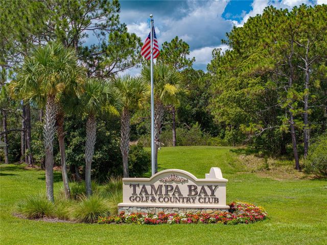 10817 HOCK LANE, San Antonio, FL 33576