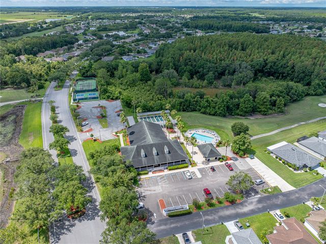 10817 HOCK LANE, San Antonio, FL 33576